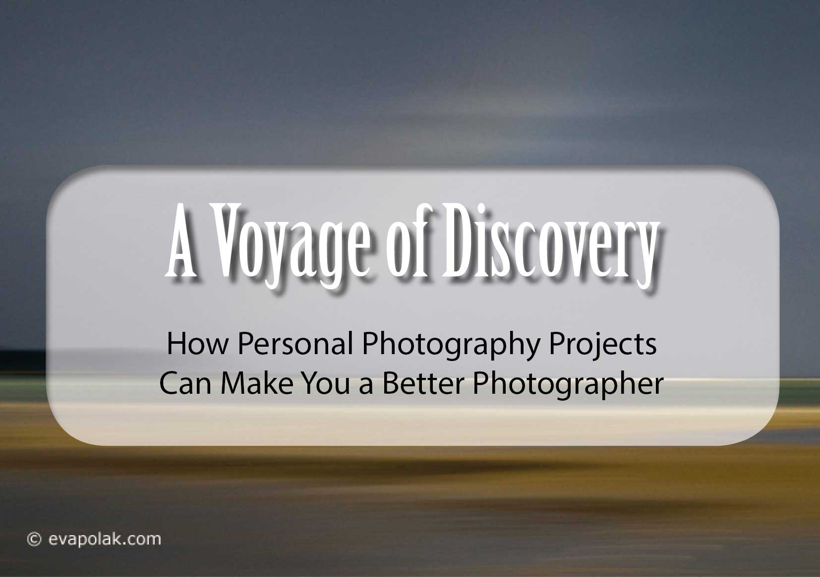 dandelions droplets water macro